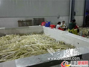 潛江一水產加工廠停水危機，消防緊急運送30噸水解困